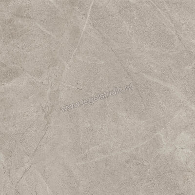  Imola Ceramica Blue Savoy Beige B 60x60 cm Vloertegel / Wandtegel Mat Gestructureerd Natural BLSV 60B RM | 329416