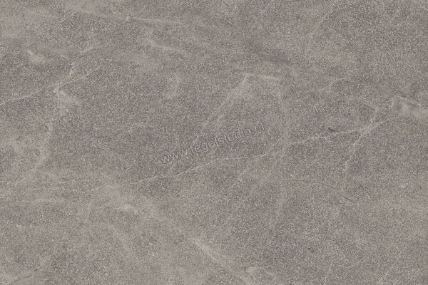 Imola Ceramica Blue Savoy Grey G 40x60 cm Vloertegel / Wandtegel Mat Gestructureerd Natural BLSV 46G RM | 329446