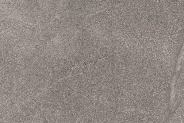  Imola Ceramica Blue Savoy Grey G 40x60 cm Vloertegel / Wandtegel Mat Gestructureerd Natural BLSV 46G RM | 329449