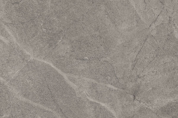  Imola Ceramica Blue Savoy Grey G 40x60 cm Vloertegel / Wandtegel Mat Gestructureerd Natural BLSV 46G RM | 329452