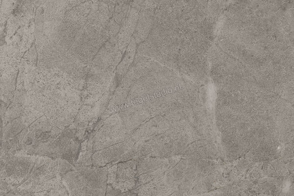  Imola Ceramica Blue Savoy Grey G 40x60 cm Vloertegel / Wandtegel Mat Gestructureerd Natural BLSV 46G RM | 329455