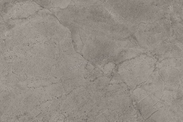  Imola Ceramica Blue Savoy Grey G 40x60 cm Vloertegel / Wandtegel Mat Gestructureerd Natural BLSV 46G RM | 329458