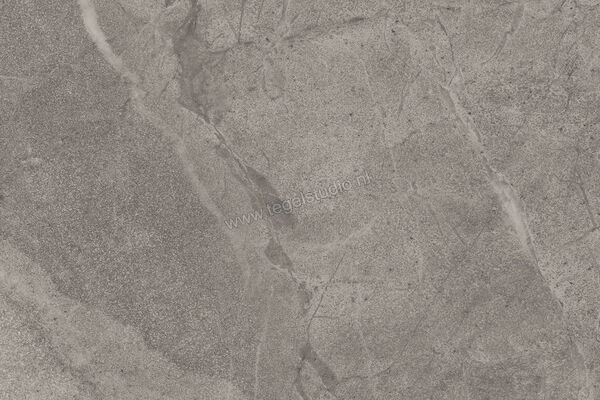  Imola Ceramica Blue Savoy Grey G 40x60 cm Vloertegel / Wandtegel Mat Gestructureerd Natural BLSV 46G RM | 329461