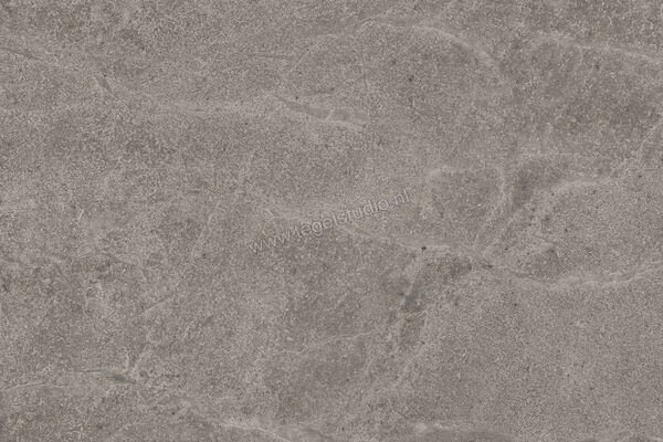  Imola Ceramica Blue Savoy Grey G 40x60 cm Vloertegel / Wandtegel Mat Gestructureerd Natural BLSV 46G RM | 329464