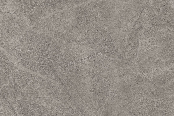  Imola Ceramica Blue Savoy Grey G 40x60 cm Vloertegel / Wandtegel Mat Gestructureerd Natural BLSV 46G RM | 329467