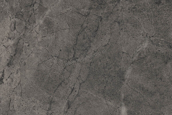  Imola Ceramica Blue Savoy Dark Grey DG 40x60 cm Vloertegel / Wandtegel Mat Gestructureerd Natural BLSV 46DG RM | 329479