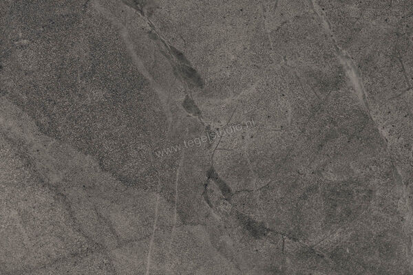  Imola Ceramica Blue Savoy Dark Grey DG 40x60 cm Vloertegel / Wandtegel Mat Gestructureerd Natural BLSV 46DG RM | 329485
