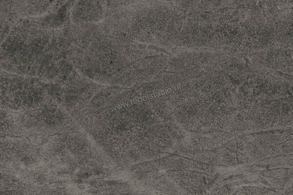  Imola Ceramica Blue Savoy Dark Grey DG 40x60 cm Vloertegel / Wandtegel Mat Gestructureerd Natural BLSV 46DG RM | 329488