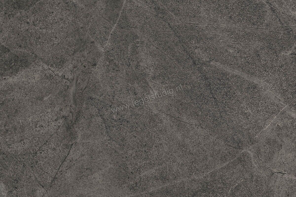  Imola Ceramica Blue Savoy Dark Grey DG 40x60 cm Vloertegel / Wandtegel Mat Gestructureerd Natural BLSV 46DG RM | 329491