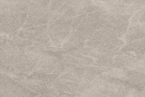  Imola Ceramica Blue Savoy Beige B 40x60 cm Vloertegel / Wandtegel Mat Gestructureerd Natural BLSV 46B RM | 329497