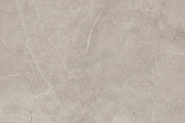  Imola Ceramica Blue Savoy Beige B 40x60 cm Vloertegel / Wandtegel Mat Gestructureerd Natural BLSV 46B RM | 329503