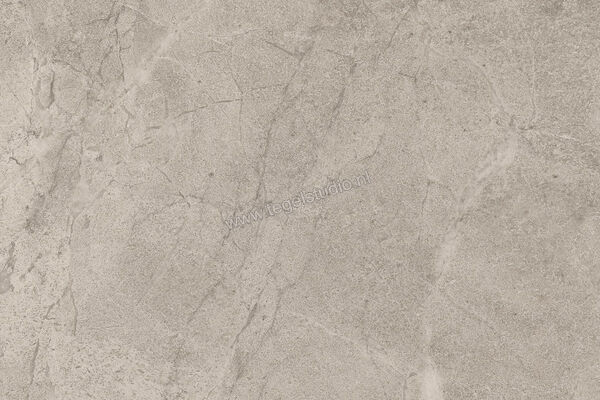  Imola Ceramica Blue Savoy Beige B 40x60 cm Vloertegel / Wandtegel Mat Gestructureerd Natural BLSV 46B RM | 329506