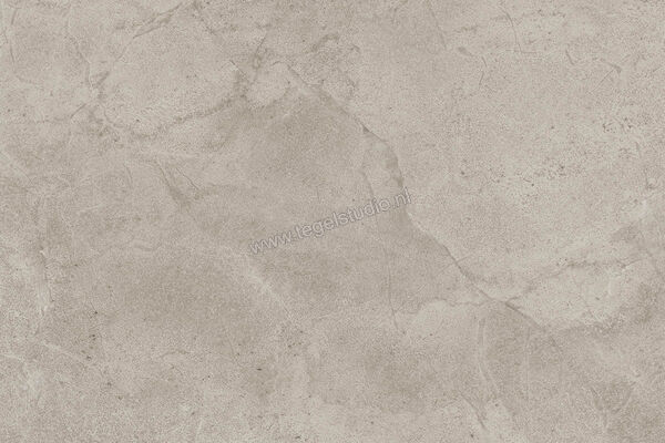  Imola Ceramica Blue Savoy Beige B 40x60 cm Vloertegel / Wandtegel Mat Gestructureerd Natural BLSV 46B RM | 329509