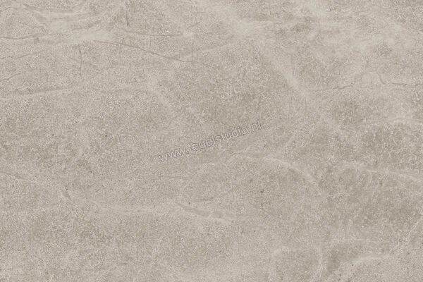 Imola Ceramica Blue Savoy Beige B 40x60 cm Vloertegel / Wandtegel Mat Gestructureerd Natural BLSV 46B RM | 329515