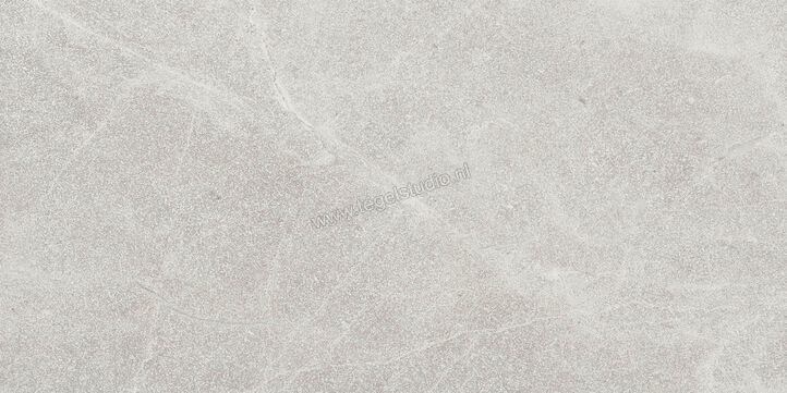  Imola Ceramica Blue Savoy White W 30x60 cm Vloertegel / Wandtegel Mat Gestructureerd Natural BLSV 36W RM | 329521