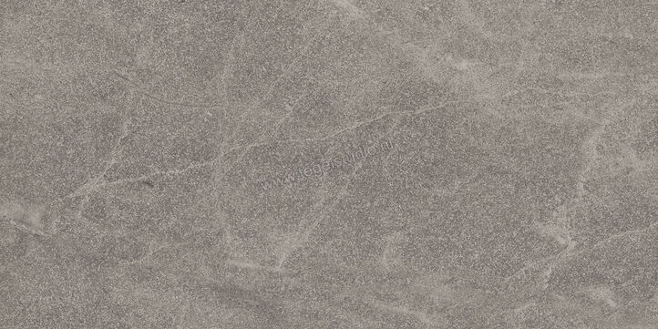  Imola Ceramica Blue Savoy Grey G 30x60 cm Vloertegel / Wandtegel Mat Gestructureerd Natural BLSV 36G RM | 329545