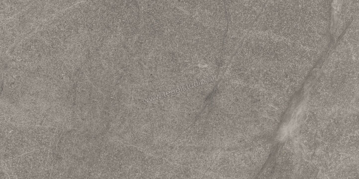  Imola Ceramica Blue Savoy Grey G 30x60 cm Vloertegel / Wandtegel Mat Gestructureerd Natural BLSV 36G RM | 329548