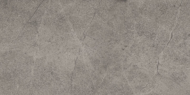  Imola Ceramica Blue Savoy Grey G 30x60 cm Vloertegel / Wandtegel Mat Gestructureerd Natural BLSV 36G RM | 329551