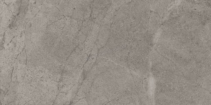  Imola Ceramica Blue Savoy Grey G 30x60 cm Vloertegel / Wandtegel Mat Gestructureerd Natural BLSV 36G RM | 329554