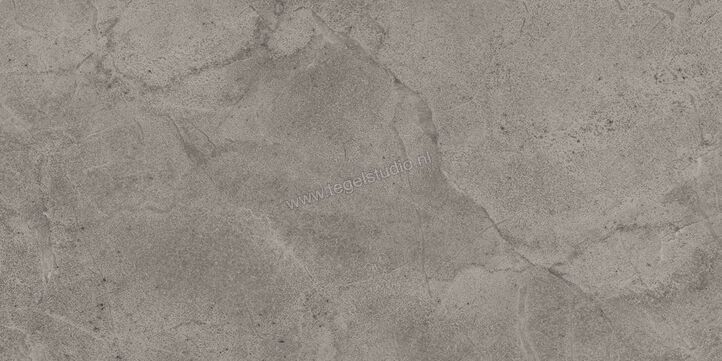  Imola Ceramica Blue Savoy Grey G 30x60 cm Vloertegel / Wandtegel Mat Gestructureerd Natural BLSV 36G RM | 329557