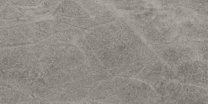  Imola Ceramica Blue Savoy Grey G 30x60 cm Vloertegel / Wandtegel Mat Gestructureerd Natural BLSV 36G RM | 329563