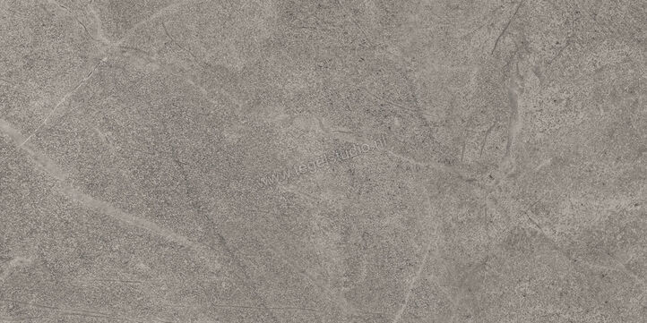  Imola Ceramica Blue Savoy Grey G 30x60 cm Vloertegel / Wandtegel Mat Gestructureerd Natural BLSV 36G RM | 329566
