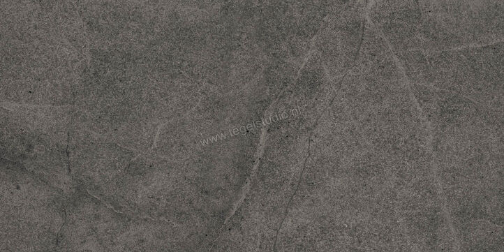  Imola Ceramica Blue Savoy Dark Grey DG 30x60 cm Vloertegel / Wandtegel Mat Gestructureerd Natural BLSV 36DG RM | 329575