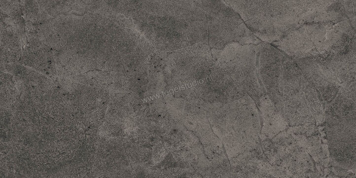  Imola Ceramica Blue Savoy Dark Grey DG 30x60 cm Vloertegel / Wandtegel Mat Gestructureerd Natural BLSV 36DG RM | 329581