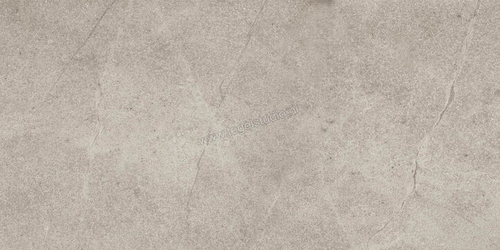  Imola Ceramica Blue Savoy Beige B 30x60 cm Vloertegel / Wandtegel Mat Gestructureerd Natural BLSV 36B RM | 329599