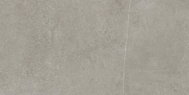  Imola Ceramica Stoncrete Silver AG 60x120 cm Vloertegel / Wandtegel Mat Gestructureerd Naturale STCR 12AG RM | 329991