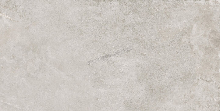  Imola Ceramica Stoncrete Camargue CG 60x120 cm Vloertegel / Wandtegel Mat Gestructureerd Naturale STCR 12CG RM | 330018