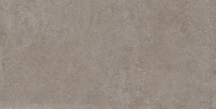  Imola Ceramica Stoncrete Grey G 60x120 cm Vloertegel / Wandtegel Mat Gestructureerd Naturale STCR 12G RM | 330039