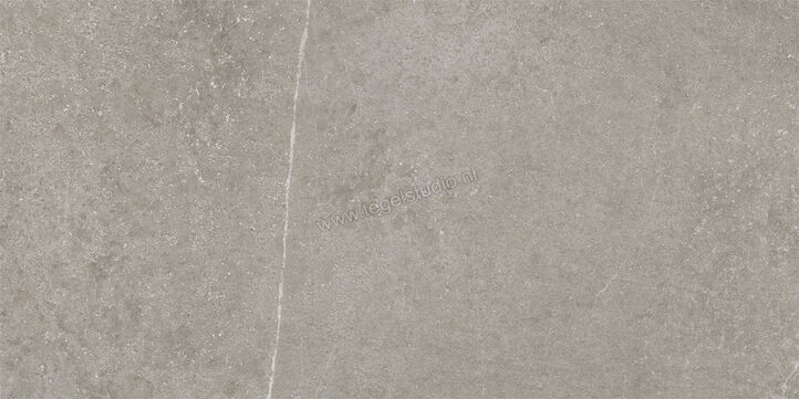  Imola Ceramica Stoncrete Silver AG 30x60 cm Vloertegel / Wandtegel Mat Gestructureerd Naturale STCR 36AG RM | 330051