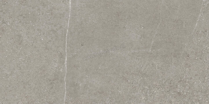  Imola Ceramica Stoncrete Silver AG 30x60 cm Vloertegel / Wandtegel Mat Gestructureerd Naturale STCR 36AG RM | 330054