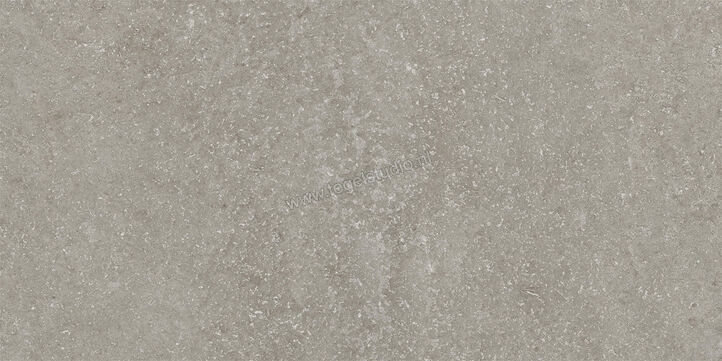  Imola Ceramica Stoncrete Silver AG 30x60 cm Vloertegel / Wandtegel Mat Gestructureerd Naturale STCR 36AG RM | 330057