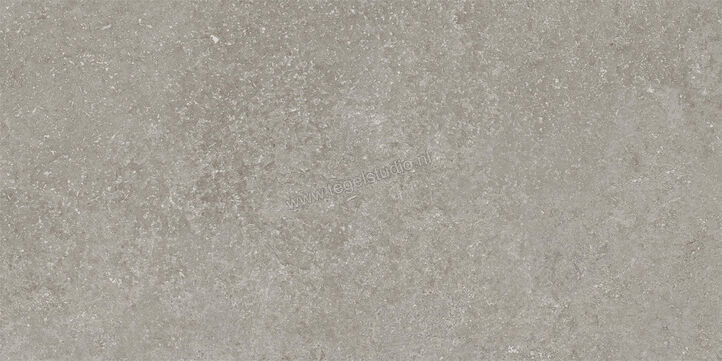  Imola Ceramica Stoncrete Silver AG 30x60 cm Vloertegel / Wandtegel Mat Gestructureerd Naturale STCR 36AG RM | 330060