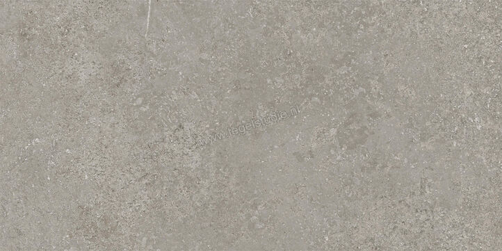  Imola Ceramica Stoncrete Silver AG 30x60 cm Vloertegel / Wandtegel Mat Gestructureerd Naturale STCR 36AG RM | 330063