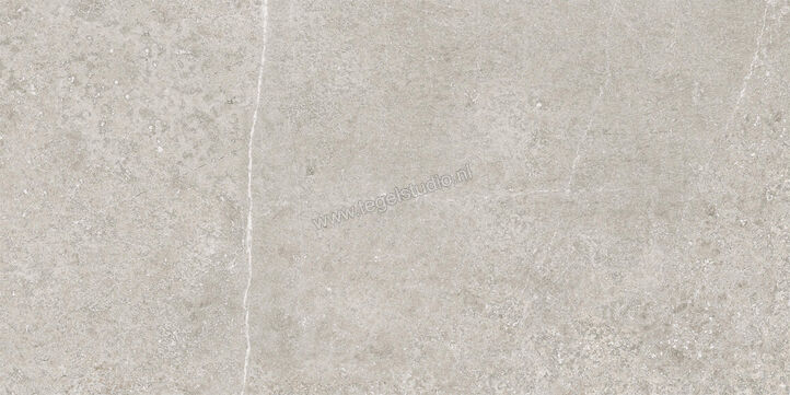  Imola Ceramica Stoncrete Camargue CG 30x60 cm Vloertegel / Wandtegel Mat Gestructureerd Naturale STCR 36CG RM | 330066