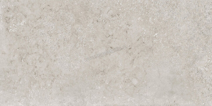  Imola Ceramica Stoncrete Camargue CG 30x60 cm Vloertegel / Wandtegel Mat Gestructureerd Naturale STCR 36CG RM | 330075