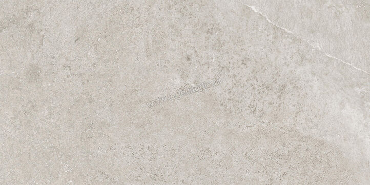  Imola Ceramica Stoncrete Camargue CG 30x60 cm Vloertegel / Wandtegel Mat Gestructureerd Naturale STCR 36CG RM | 330078