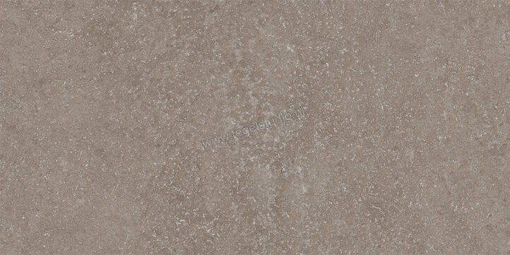  Imola Ceramica Stoncrete Grey G 30x60 cm Vloertegel / Wandtegel Mat Gestructureerd Naturale STCR 36G RM | 330099
