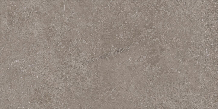  Imola Ceramica Stoncrete Grey G 30x60 cm Vloertegel / Wandtegel Mat Gestructureerd Naturale STCR 36G RM | 330102