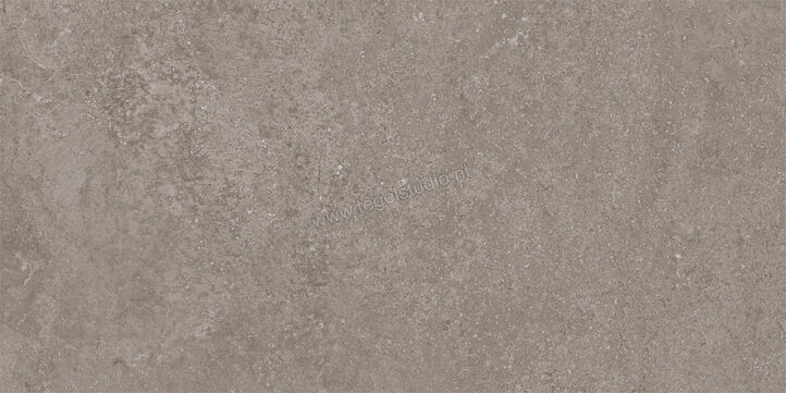  Imola Ceramica Stoncrete Grey G 30x60 cm Vloertegel / Wandtegel Mat Gestructureerd Naturale STCR 36G RM | 330105