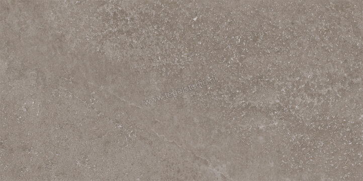  Imola Ceramica Stoncrete Grey G 30x60 cm Vloertegel / Wandtegel Mat Gestructureerd Naturale STCR 36G RM | 330108