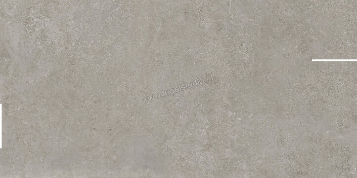  Imola Ceramica Stoncrete Silver AG 60x120 cm Vloertegel / Wandtegel Decor Mat Gestructureerd Naturale STCR DK12AG | 330231