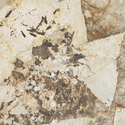  Atlas Concorde Marvel Gala Desert Soul 120x120 cm Vloertegel / Wandtegel Glanzend Vlak Lappato AFXM | 331512