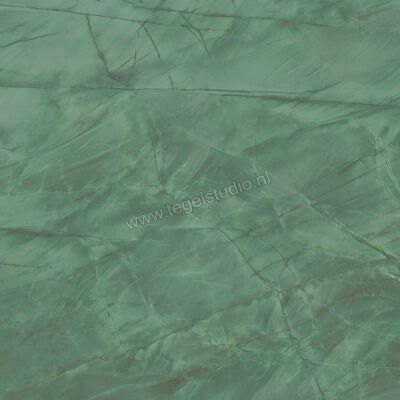  Atlas Concorde Marvel Gala Exotic Green 120x120 cm Vloertegel / Wandtegel Glanzend Vlak Lappato ABKA | 331548