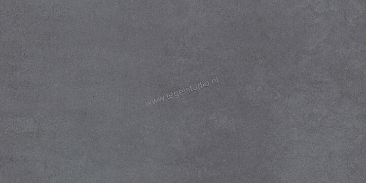 Imola Ceramica Micron 2.0 Dg 30x60 cm Vloertegel / Wandtegel Mat Vlak Naturale M2.0 36DG | 33253
