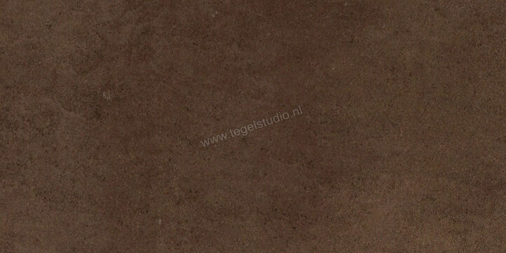 Imola Ceramica Micron 2.0 T 30x60 cm Vloertegel / Wandtegel Glanzend Vlak Levigato M2.0 36TL | 33258
