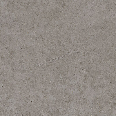  Atlas Concorde Boost Stone Smoke 80x80 cm Vloertegel / Wandtegel Mat Vlak Sensitech A9RV | 332754